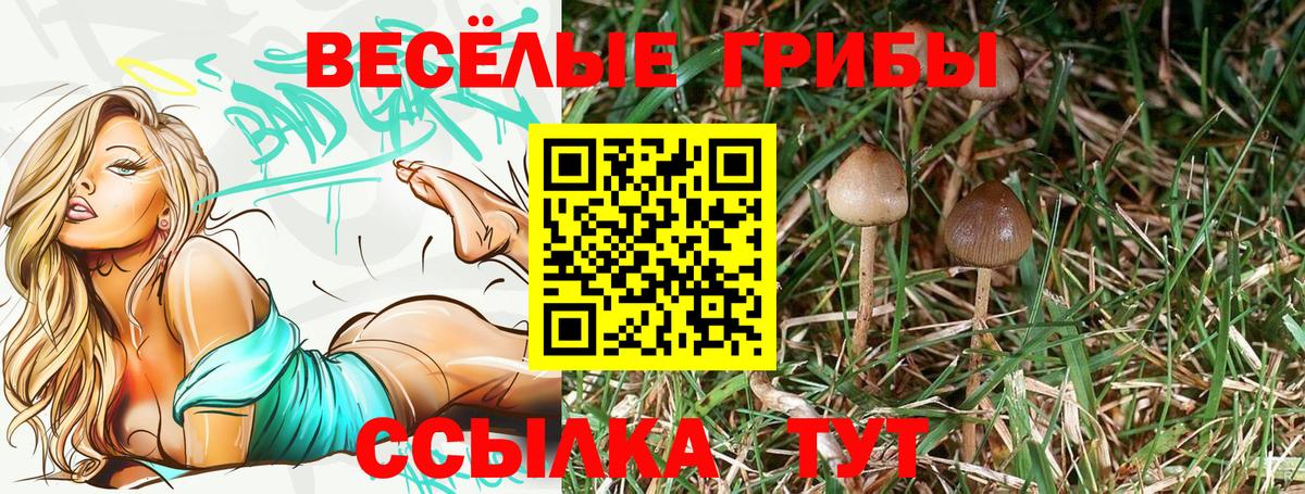 Галлюциногенные грибы MAGIC MUSHROOMS Тихорецк
