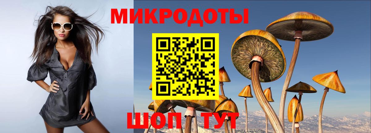 Галлюциногенные грибы прущие грибы  Вход с VPN  где найти   Тихорецк 